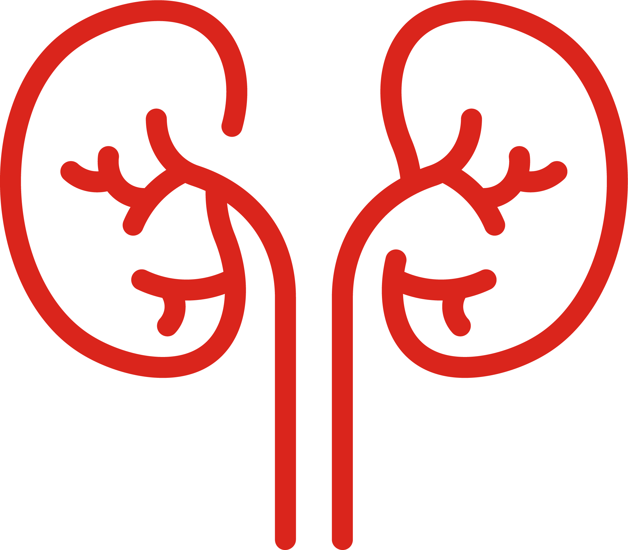 Kidney Blood Test